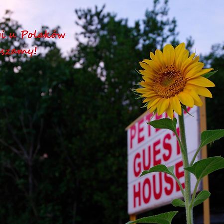 Peter'S Guest House Sighnaghi Luaran gambar
