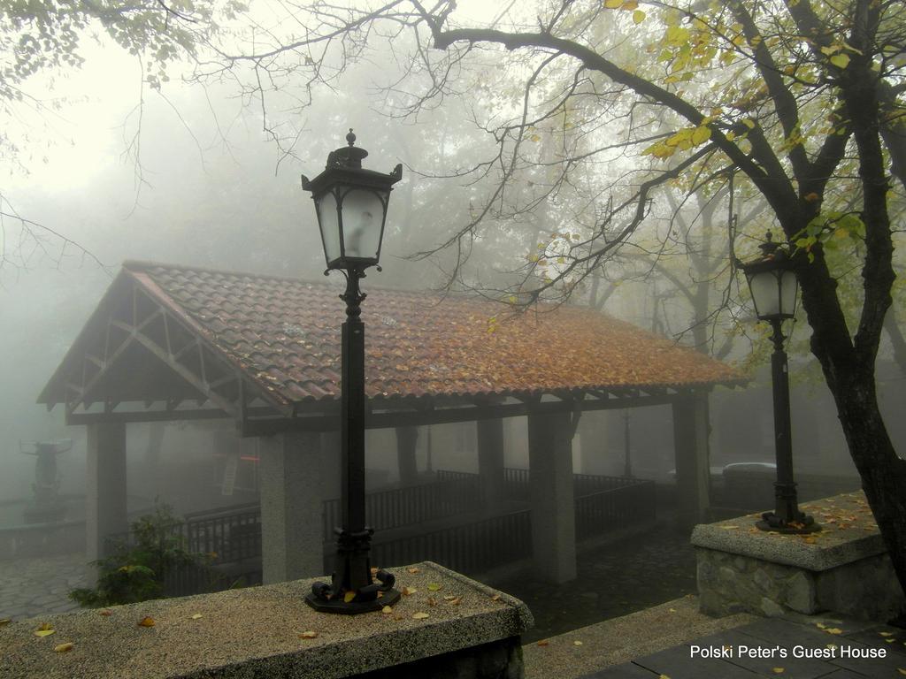 Peter'S Guest House Sighnaghi Luaran gambar