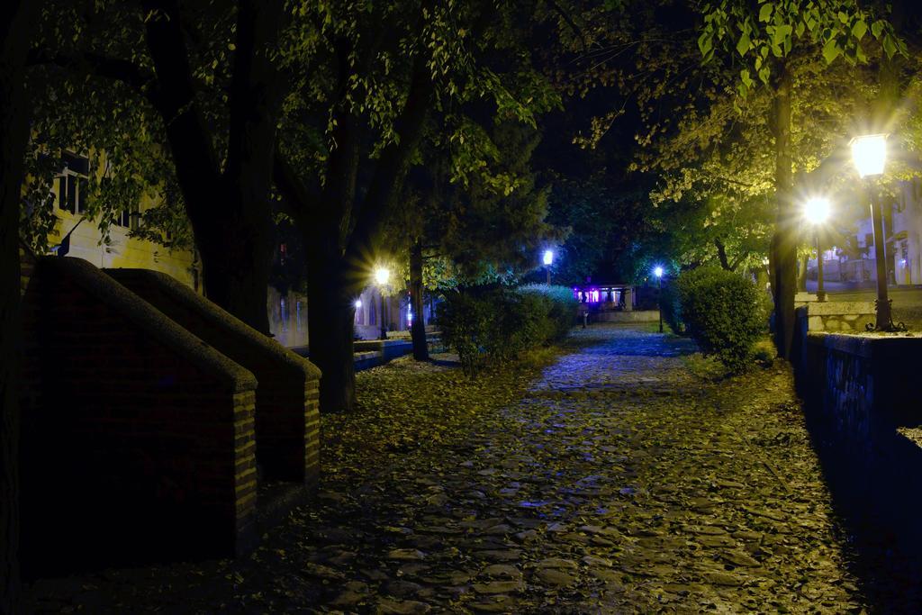 Peter'S Guest House Sighnaghi Luaran gambar